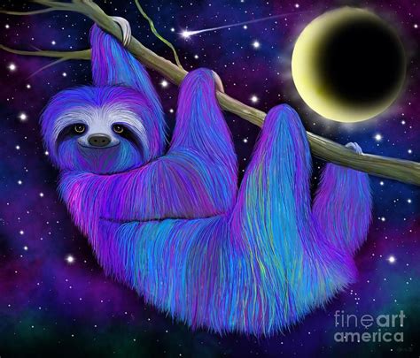 sloth moon light
